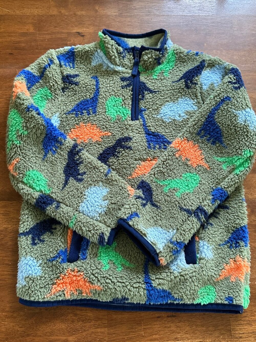 Gymboree Dino Friends Fleece Sweatshirt